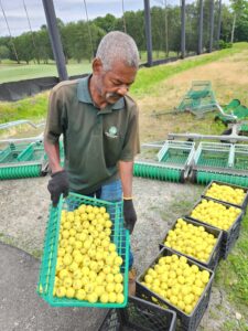 ltpf guy 20250627 085650