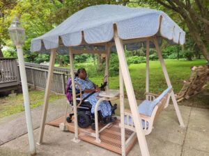 wheelchair swing